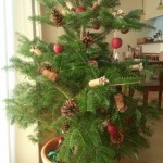 クリスマス　ディナー