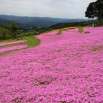 夏期休業日のお知らせ