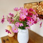 クレジットカードのご利用、再開致しました。